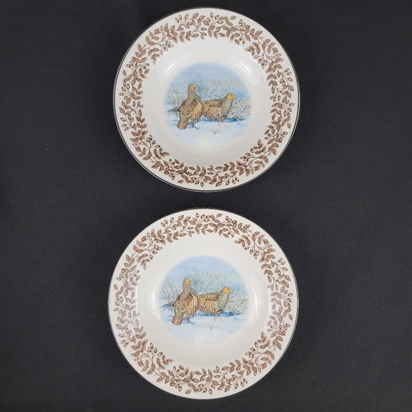 (2) WILD BIRDS Porcelain Soup Bowls - Picture 2 of 12